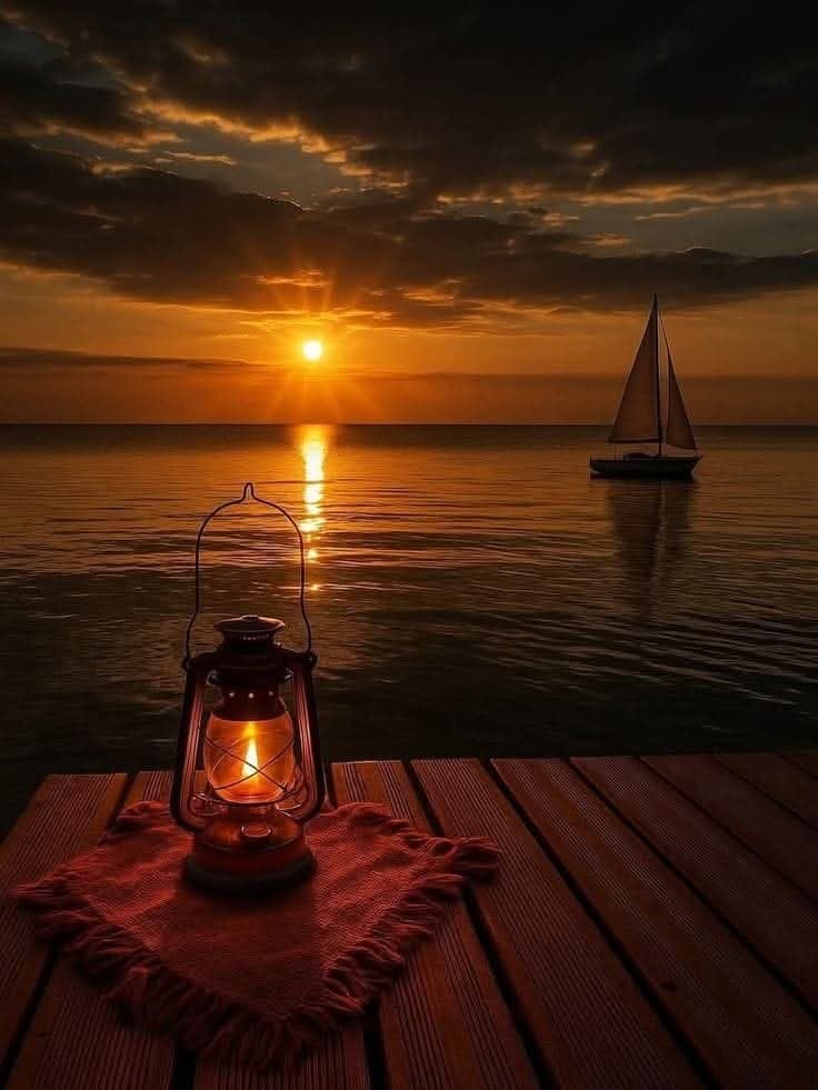 نور قنجراوي