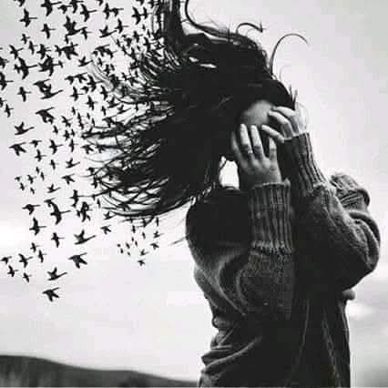 حلا