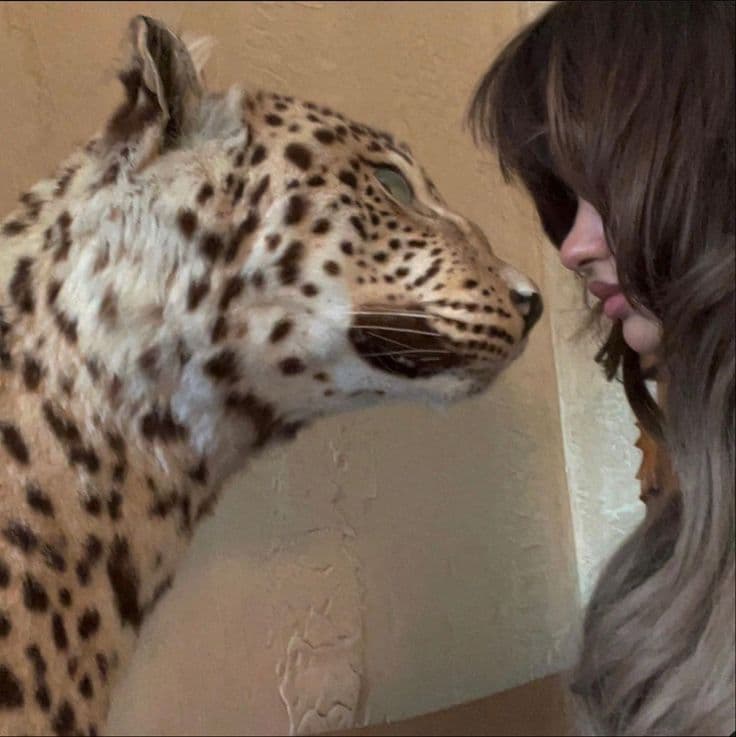 Masah🐆
