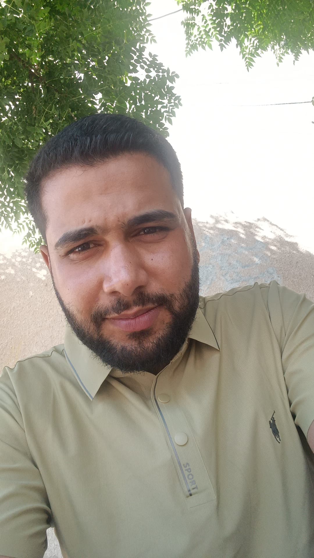 محمد محمود طاقيه