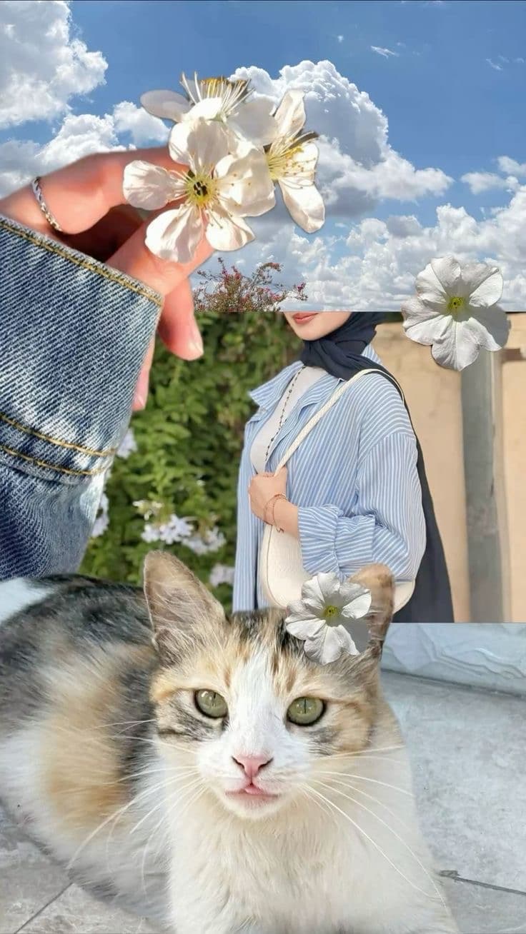 فاطمه احمد يوسف