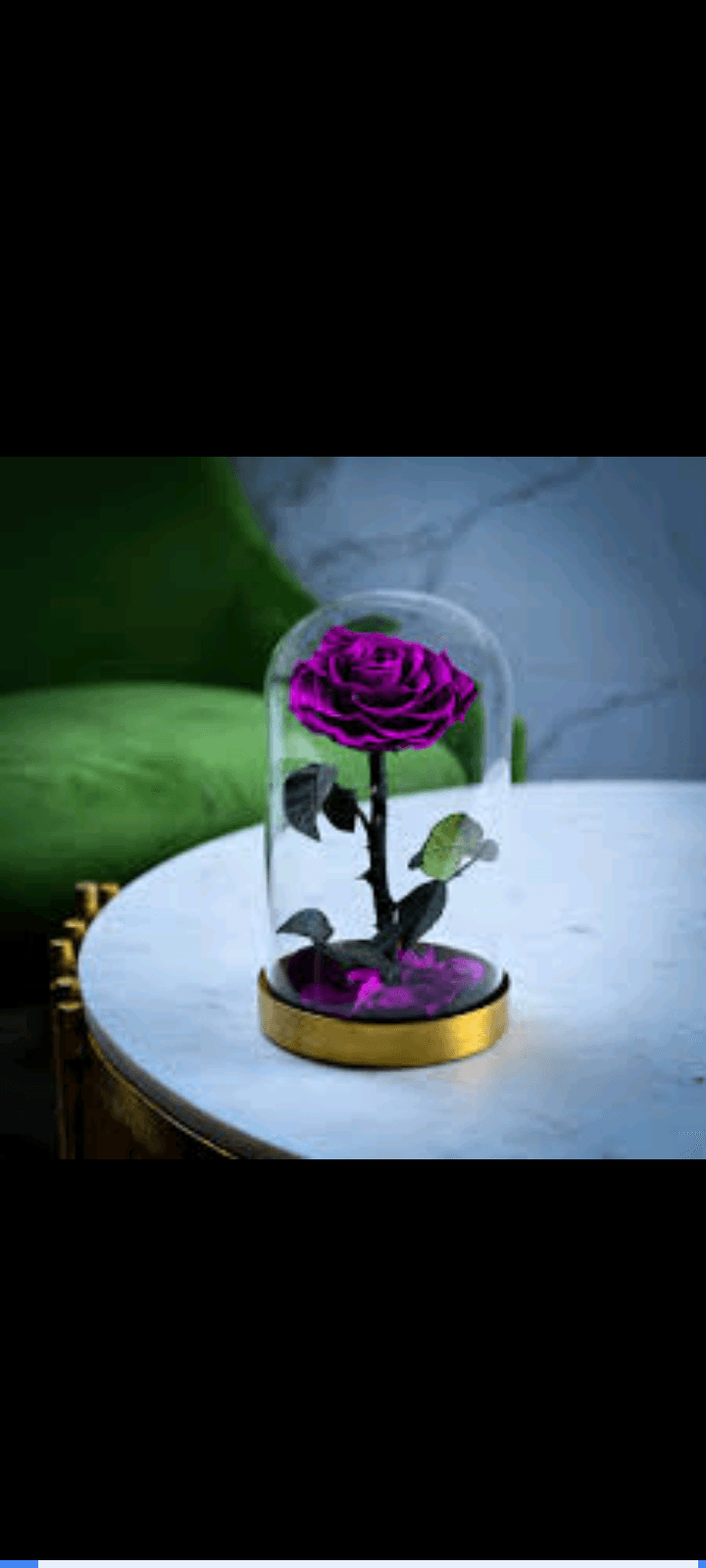 مروى محسن شرابه