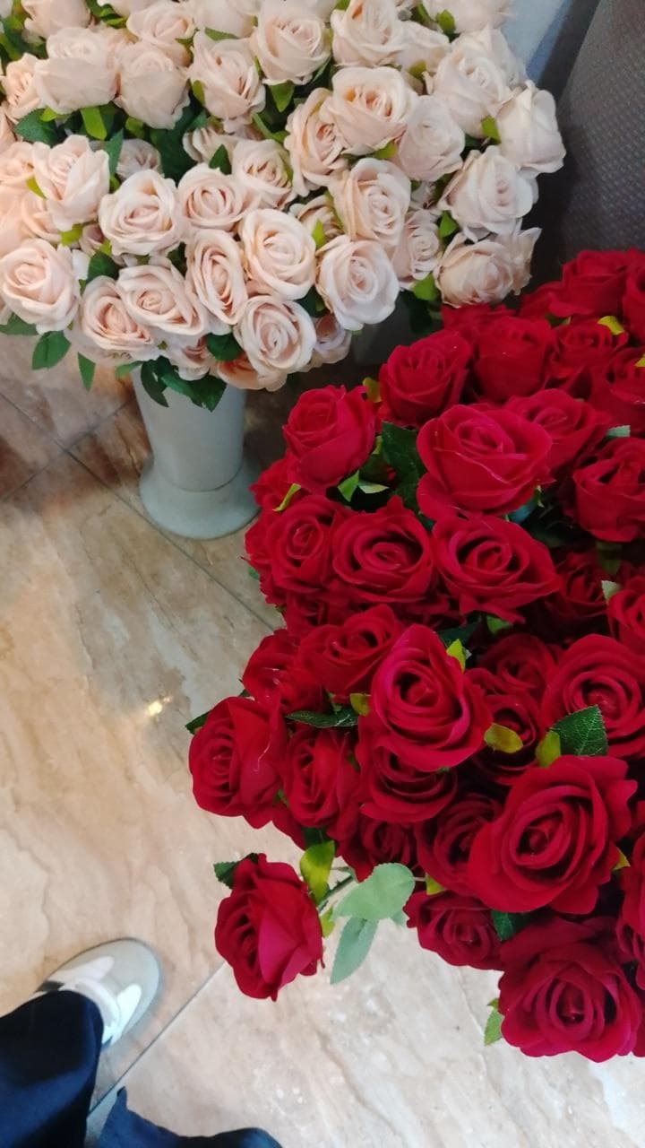 نجاح محمد