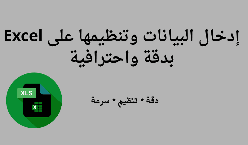 إدخال البيانات وتنظيمها على Excel بدقة واحترافية